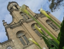 Imagen Catedral de Azogues